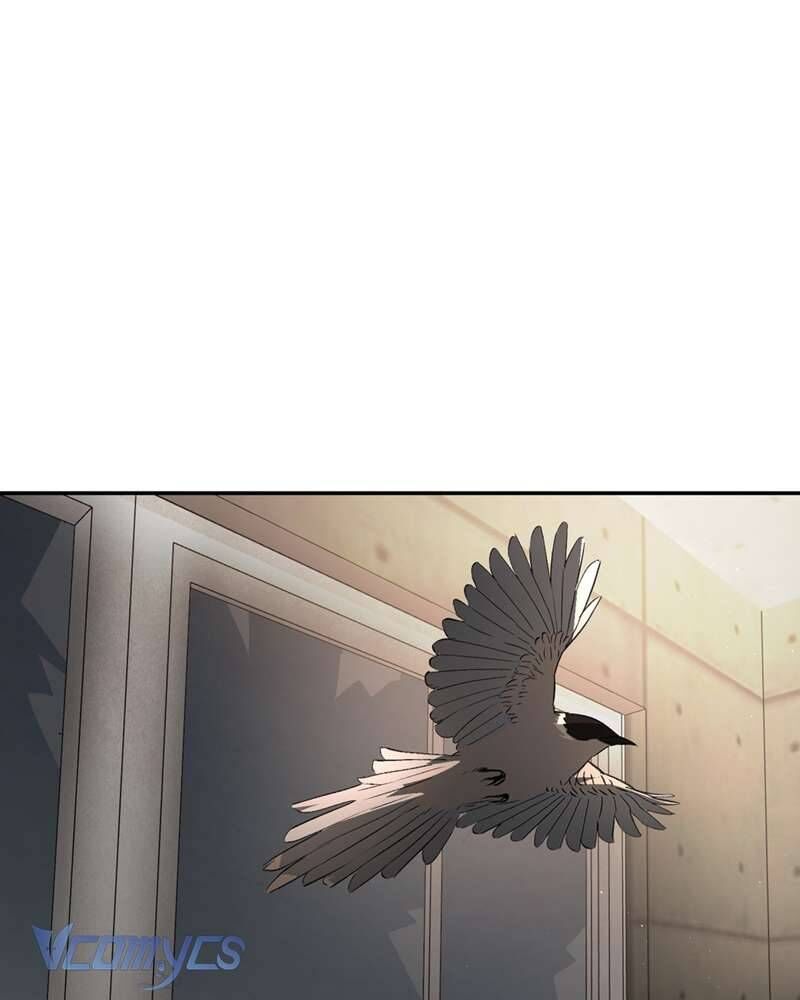 page_97