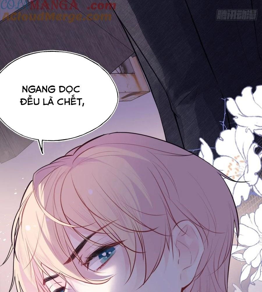 page_51