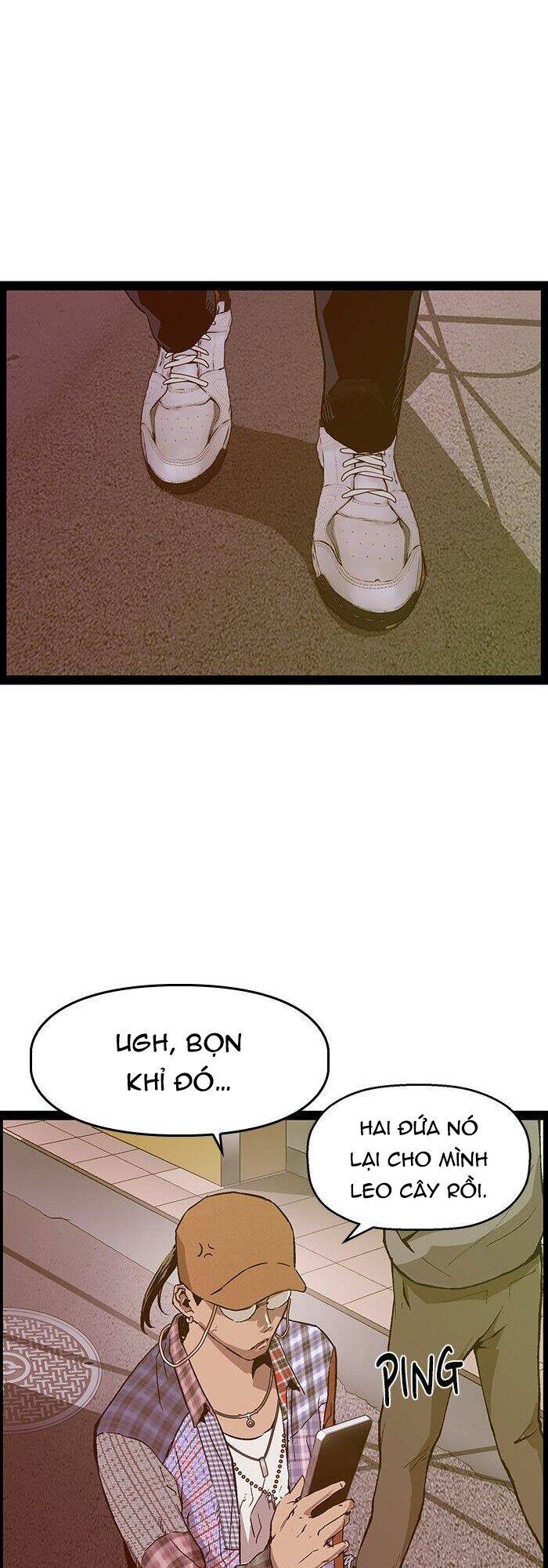 page_29
