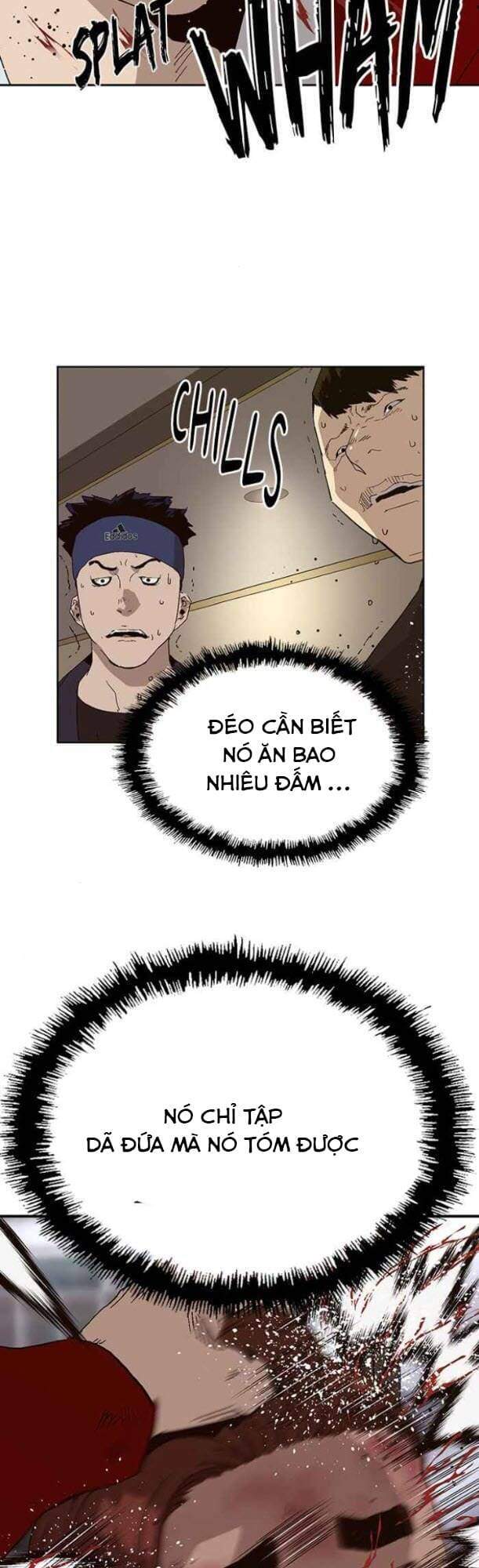 page_26