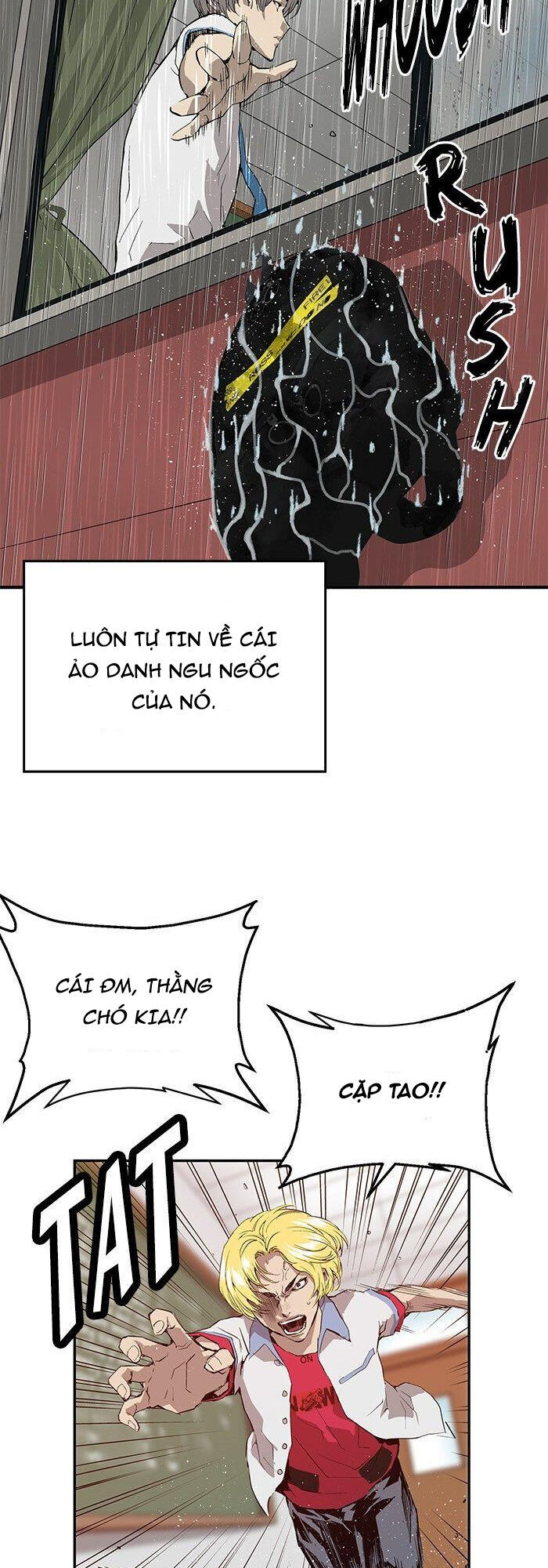 page_17