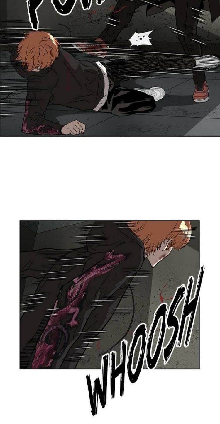 page_66