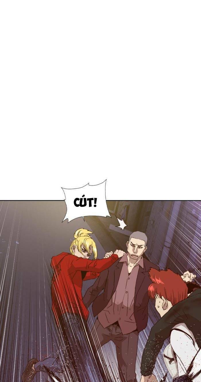 page_29