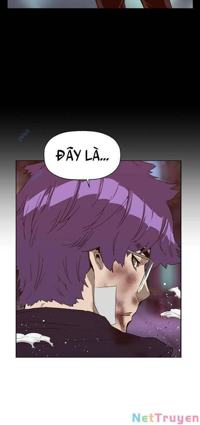 page_5
