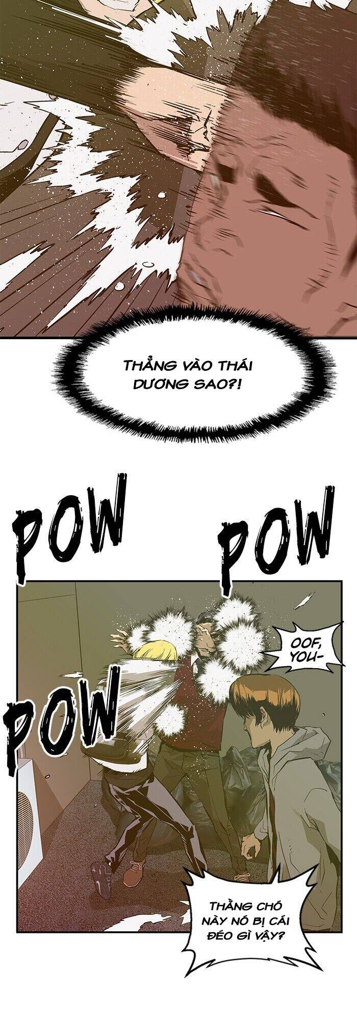page_28