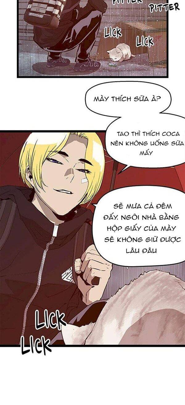 page_16