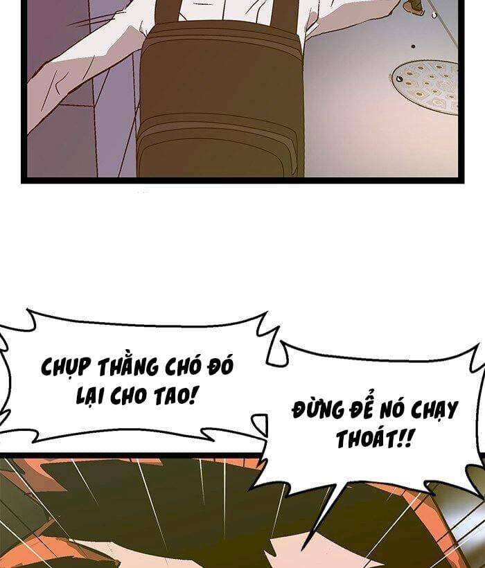 page_41
