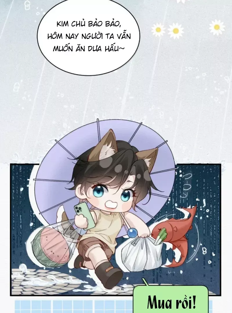 page_25