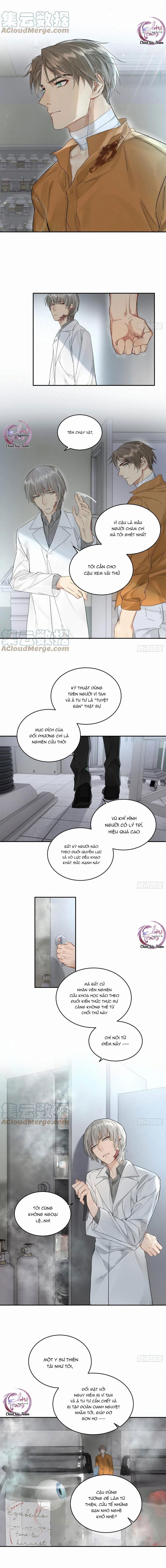 page_6