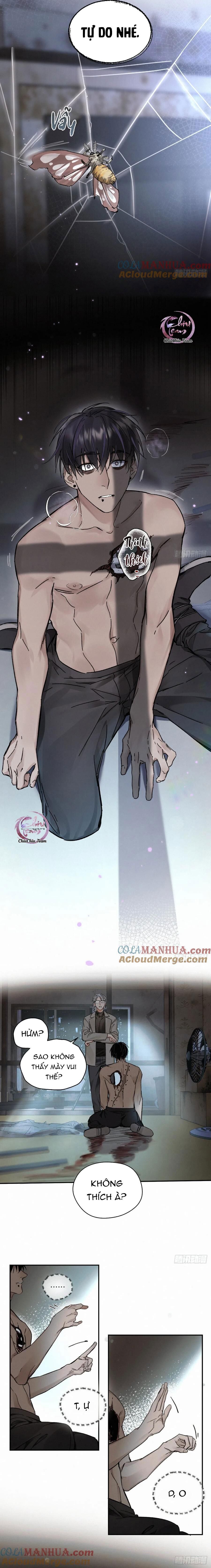 page_5