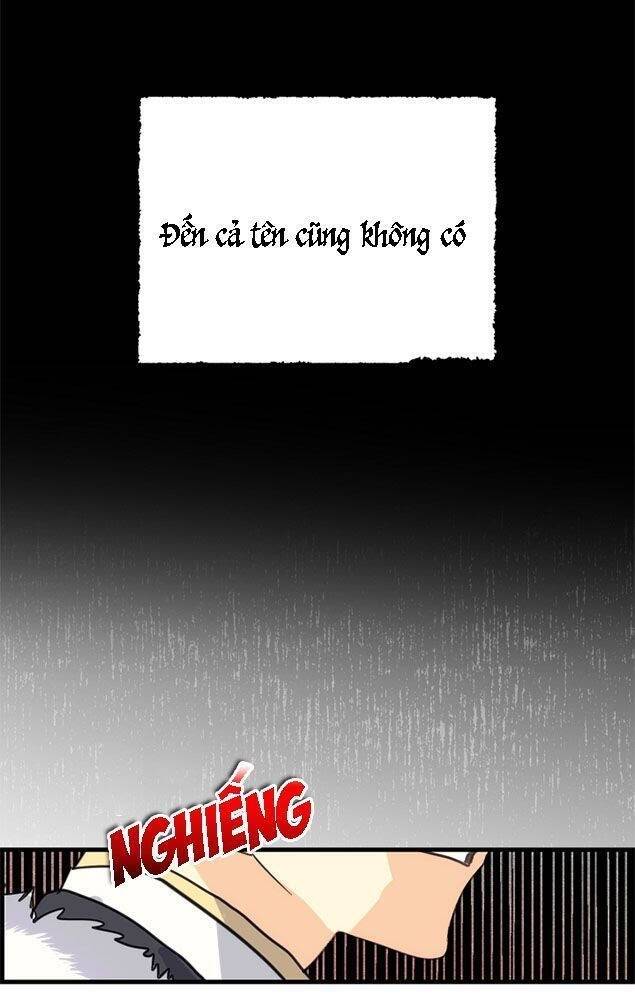 page_23