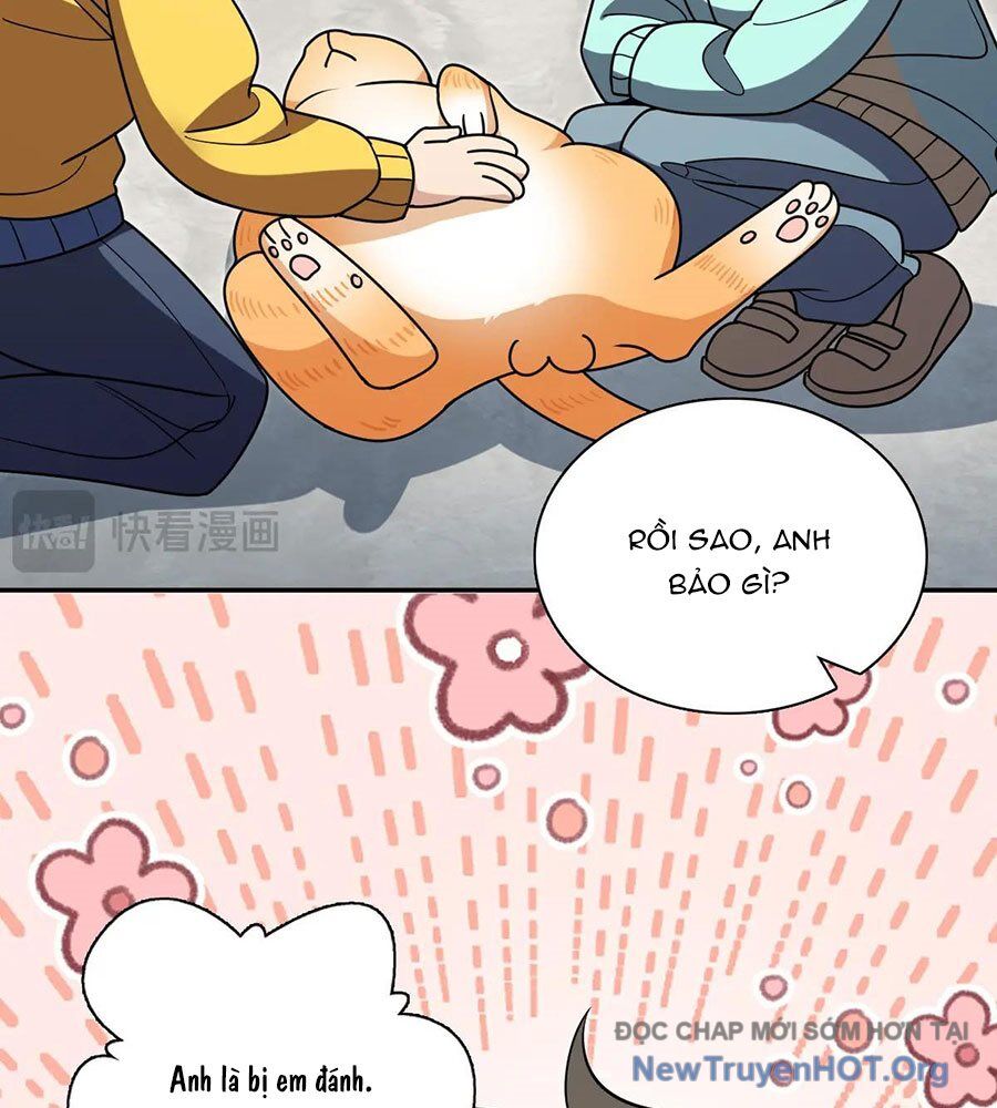 page_34