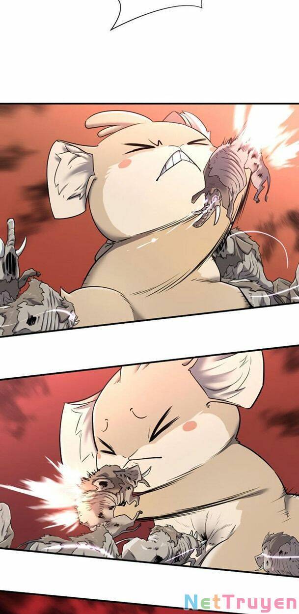 page_42