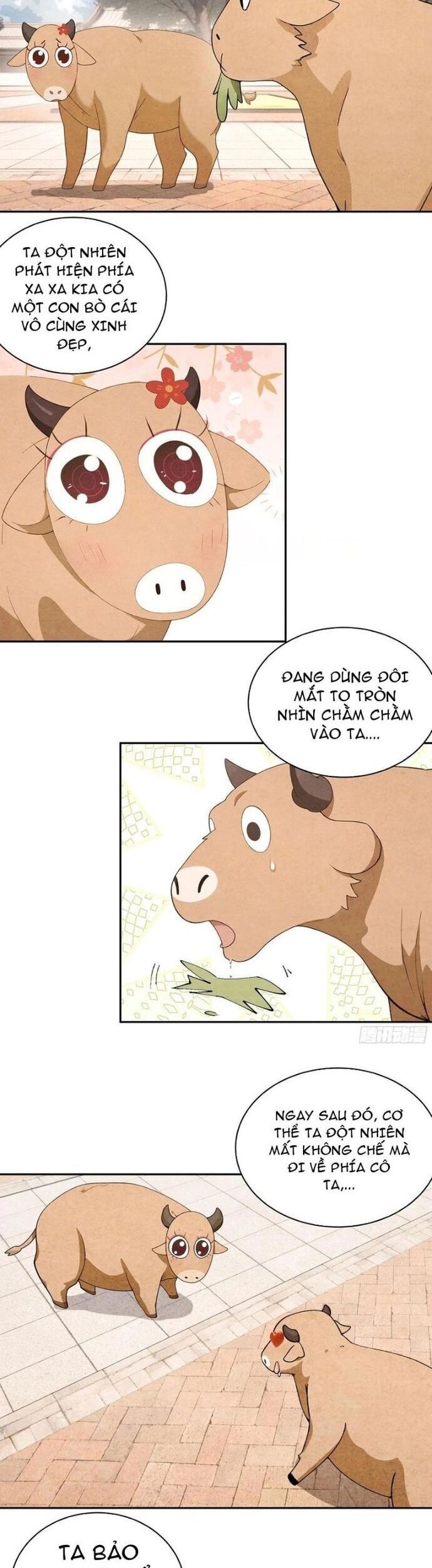page_5