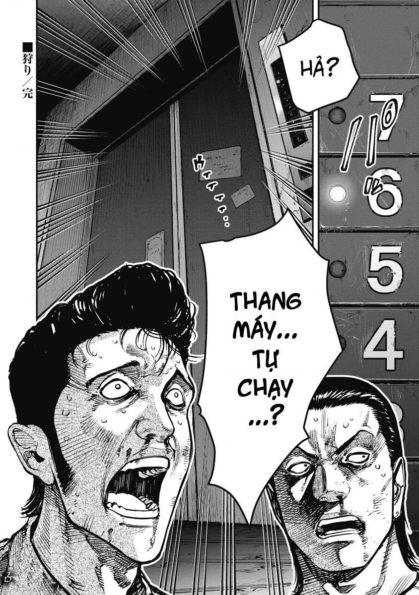 page_17