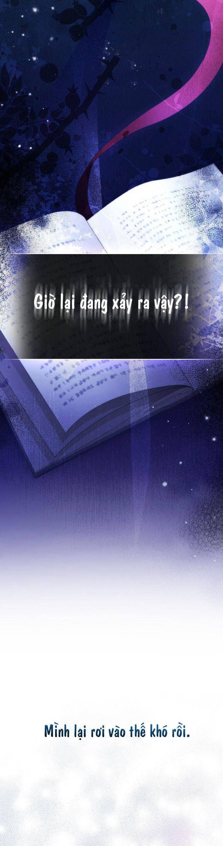 page_28
