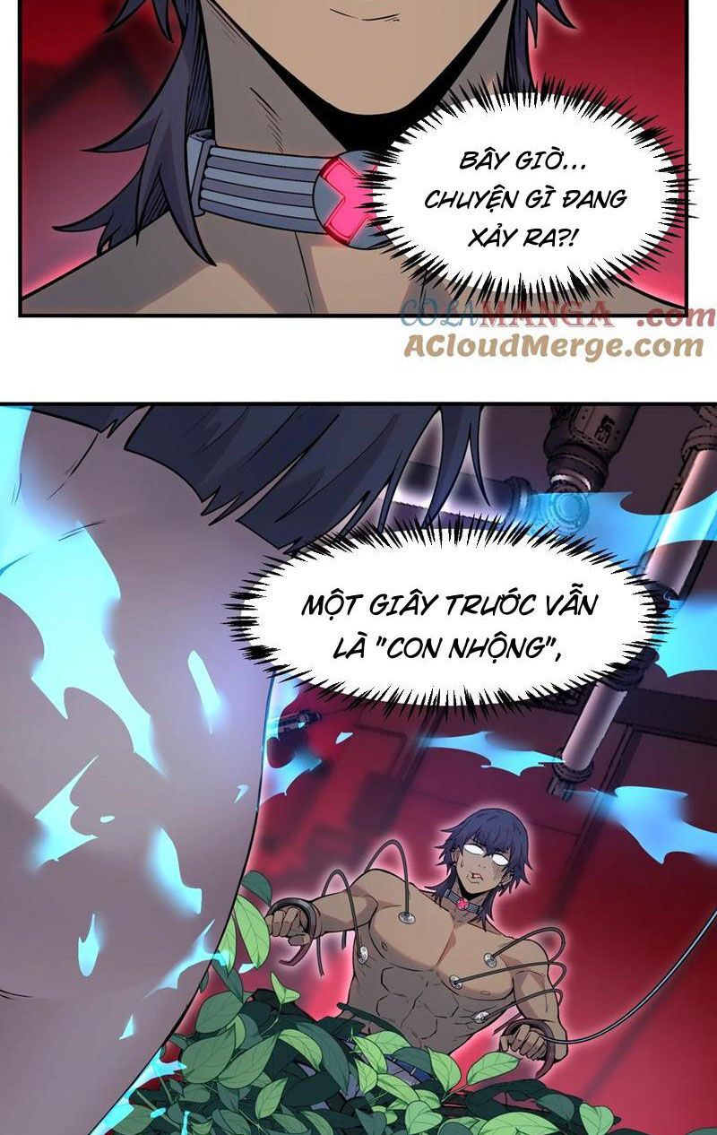page_33