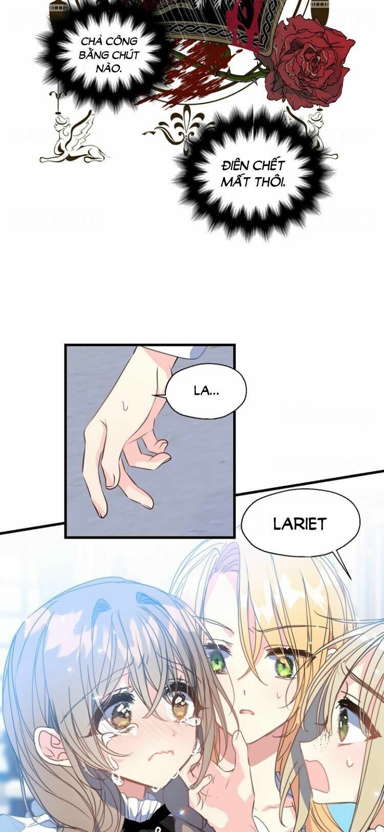 page_24