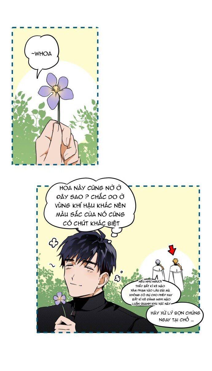 page_19