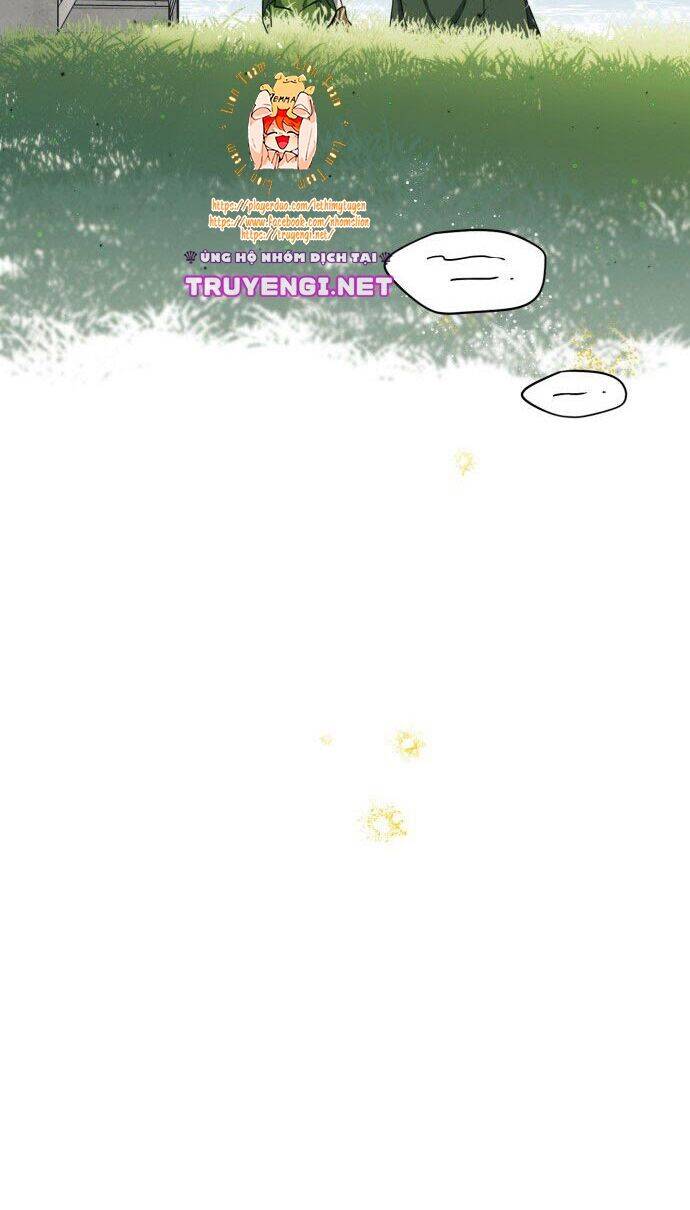 page_37
