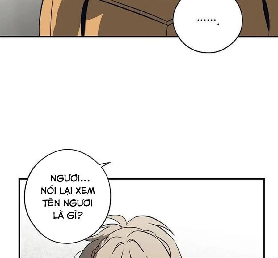 page_37
