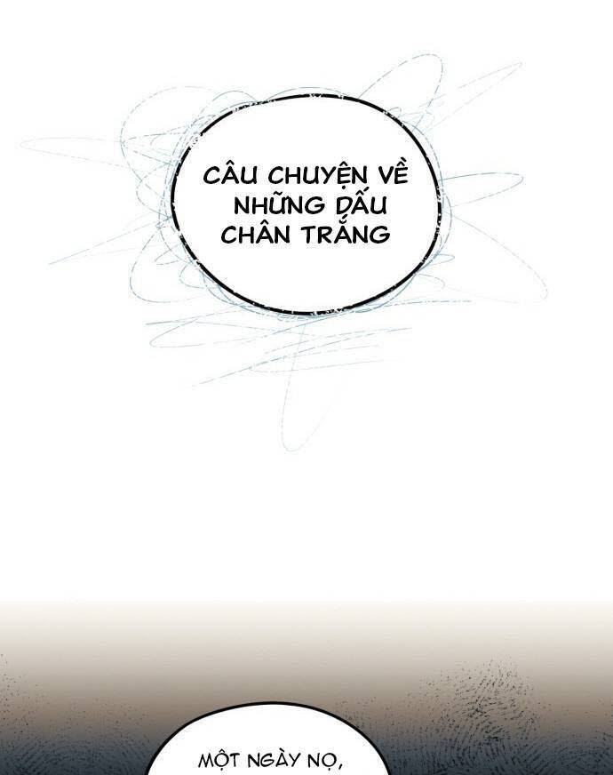 page_31