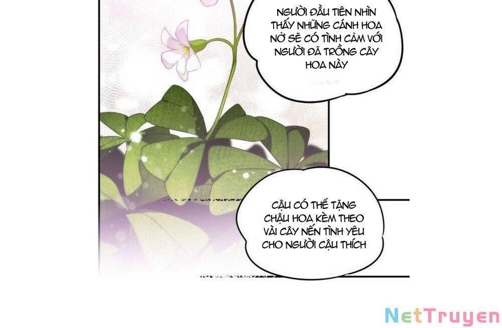 page_19