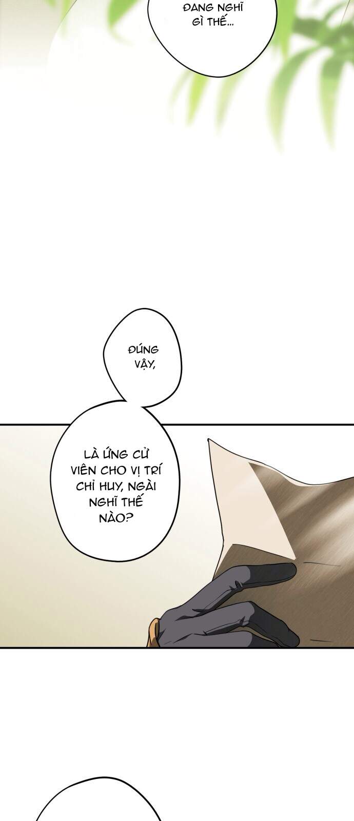 page_19