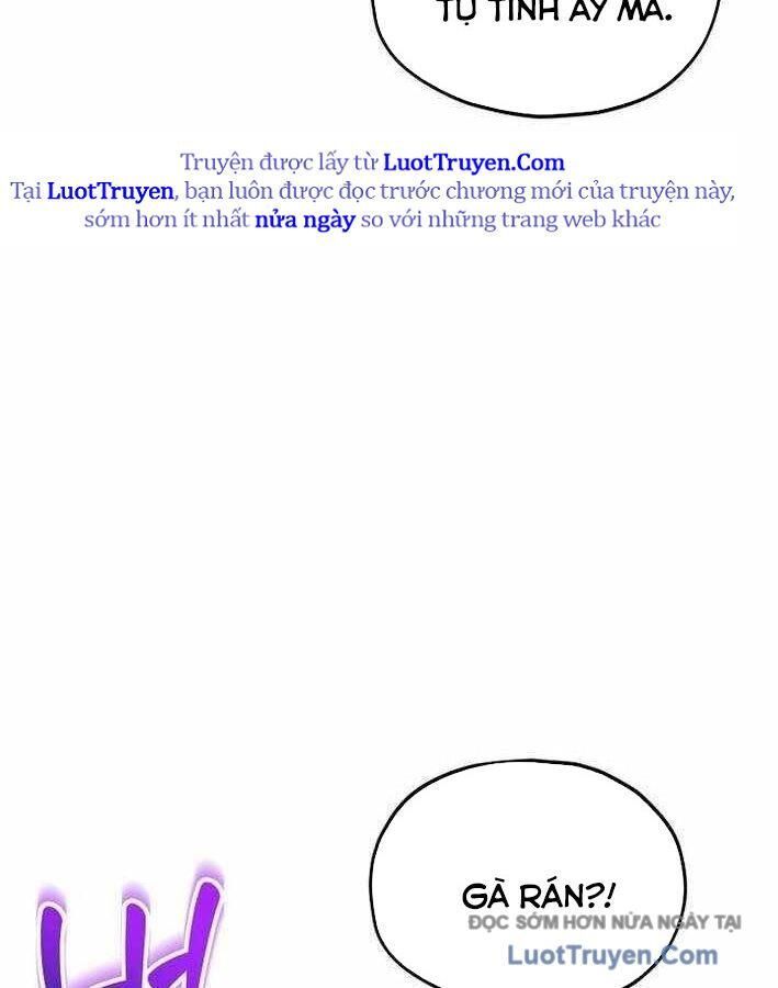 page_26
