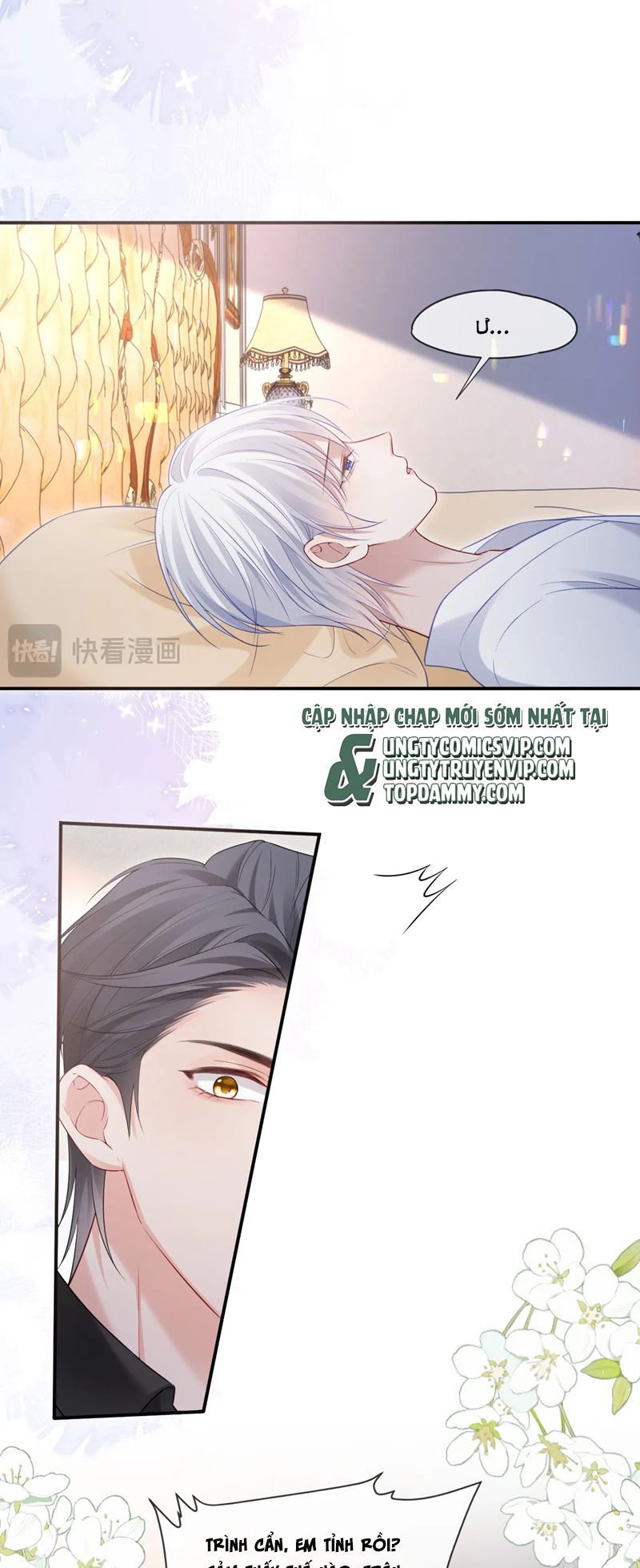 page_19