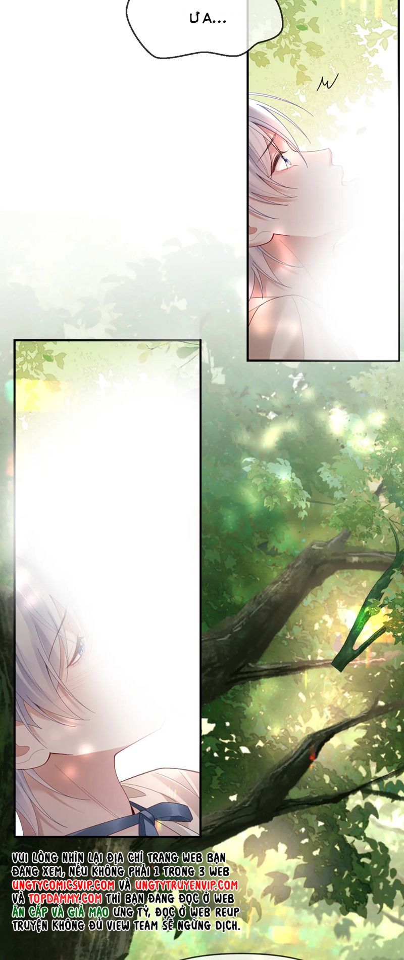 page_29