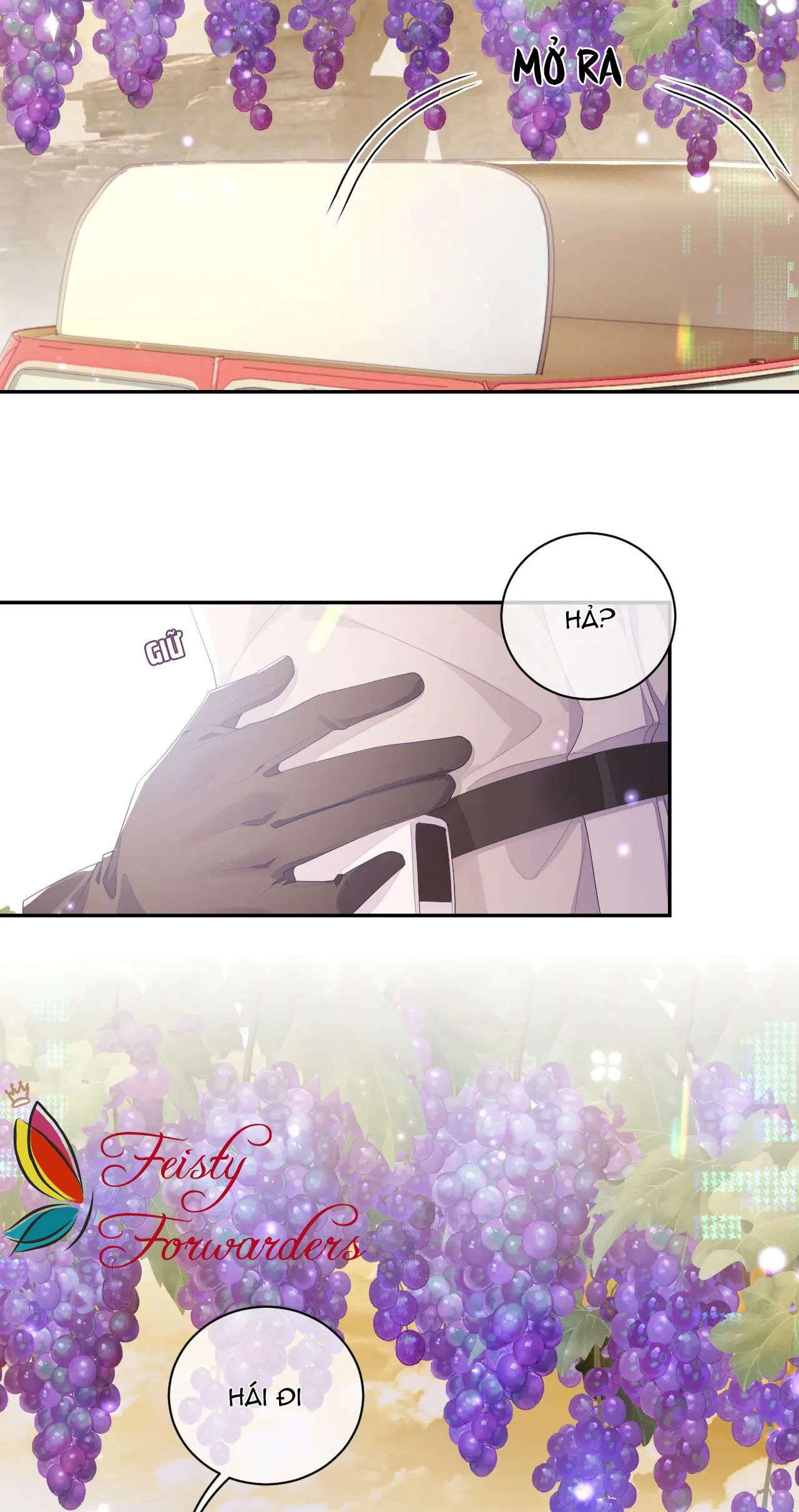 page_28