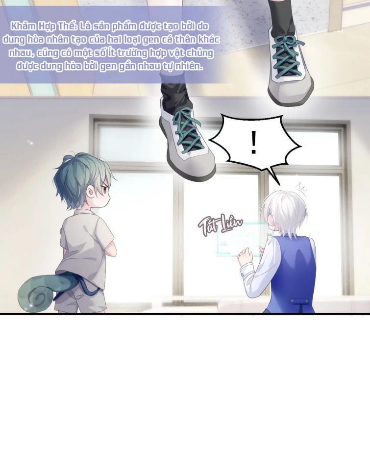 page_13
