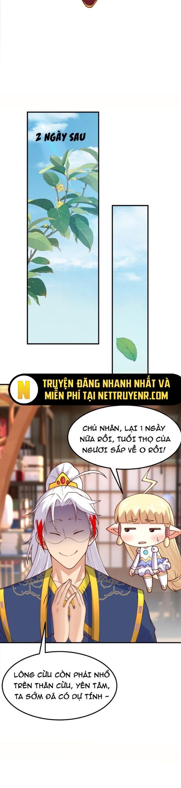 page_5
