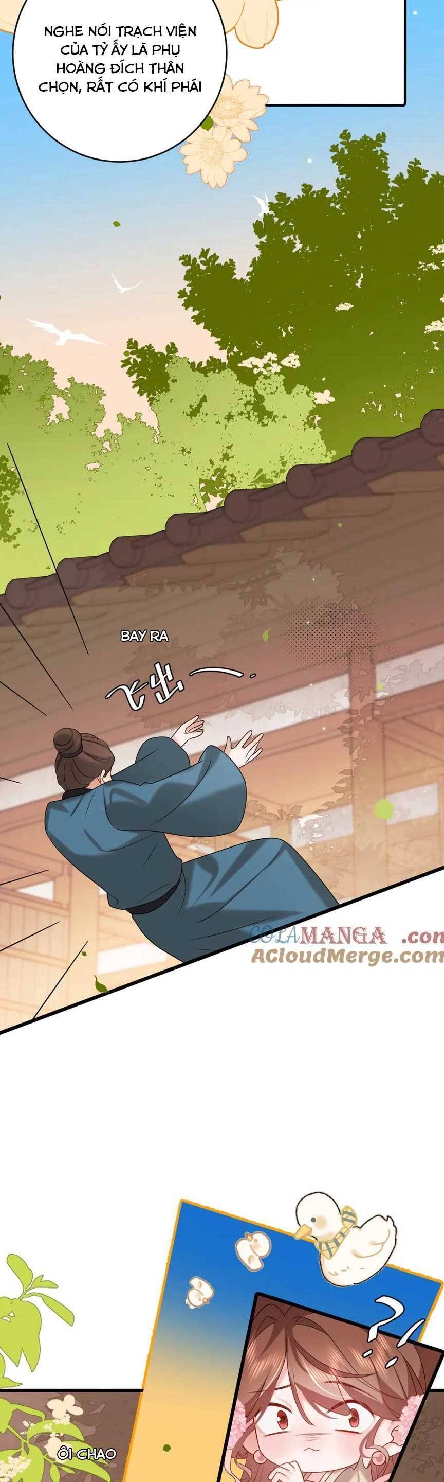 page_16