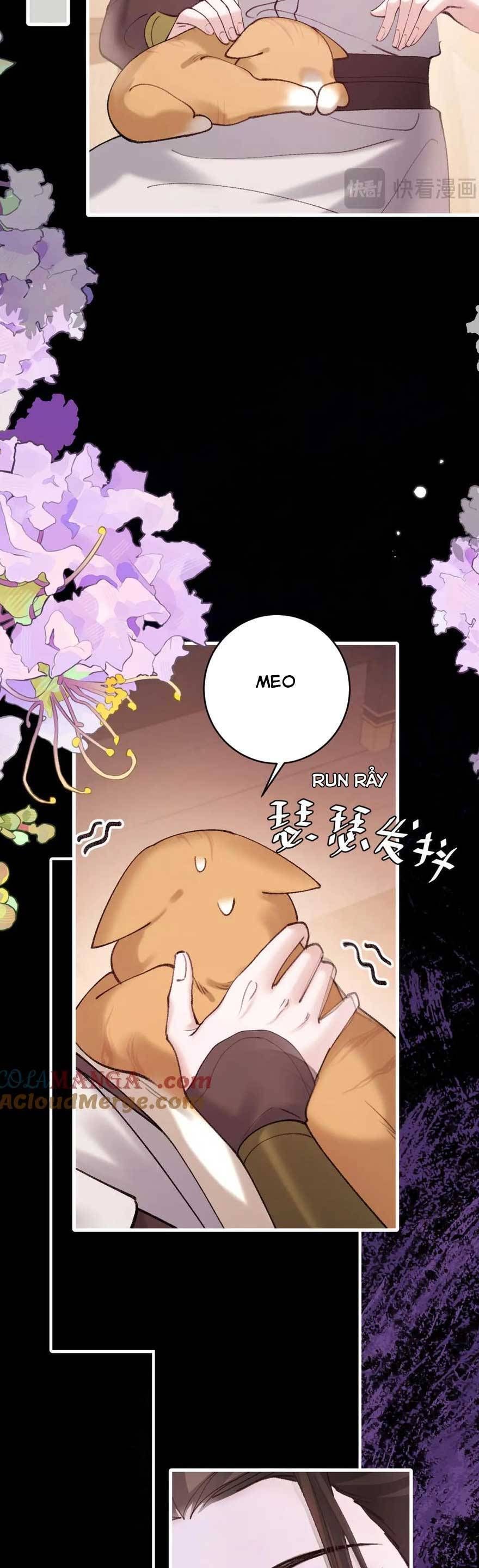 page_20