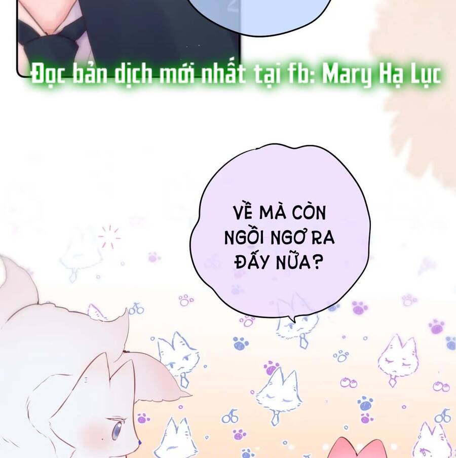 page_28