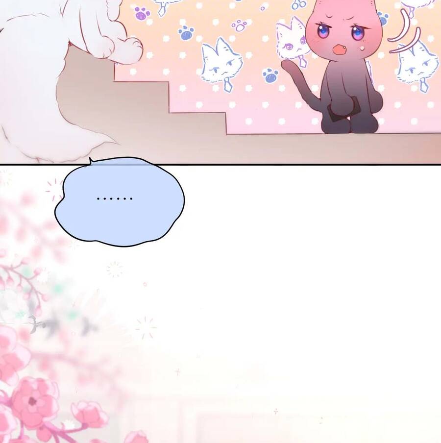 page_29