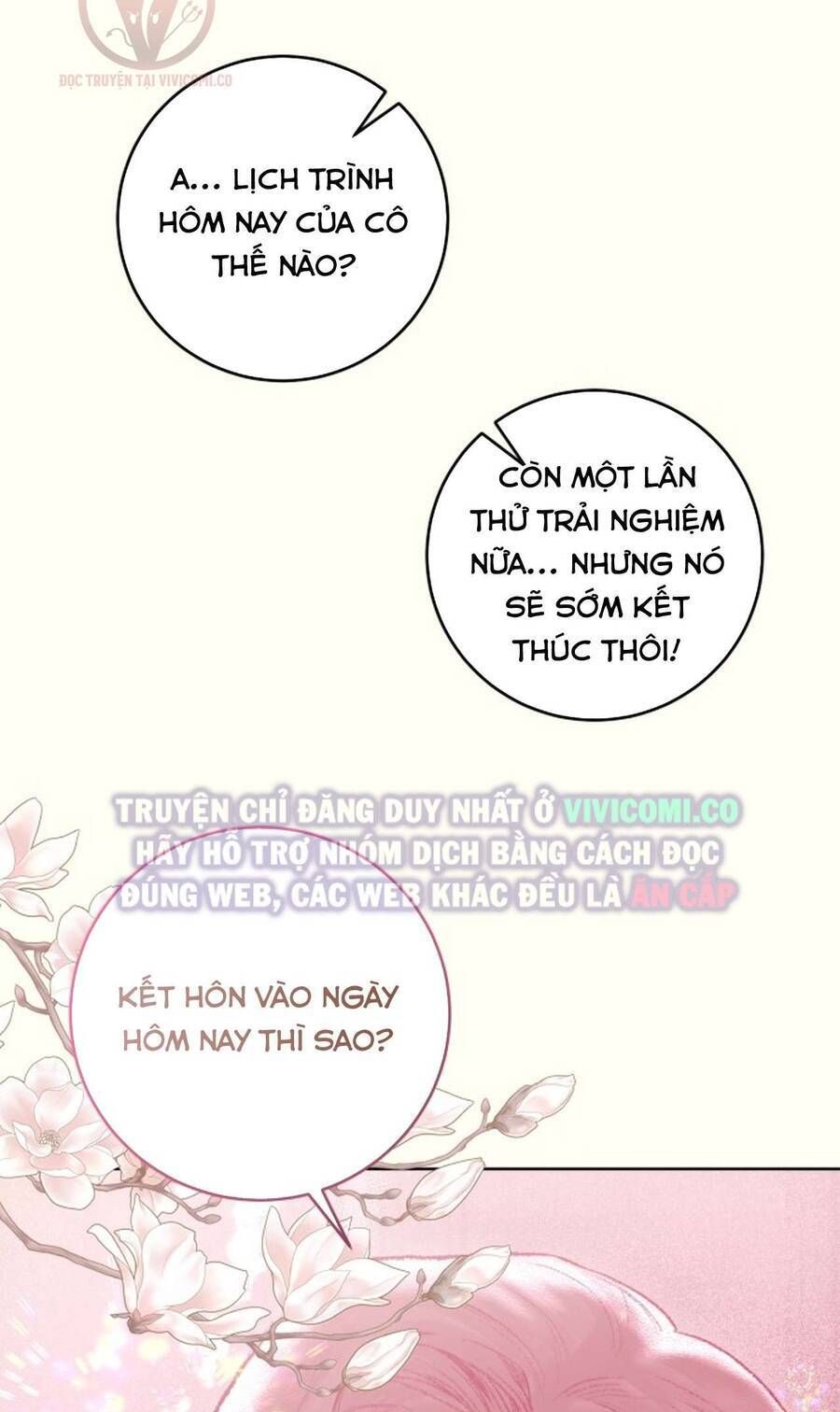 page_29