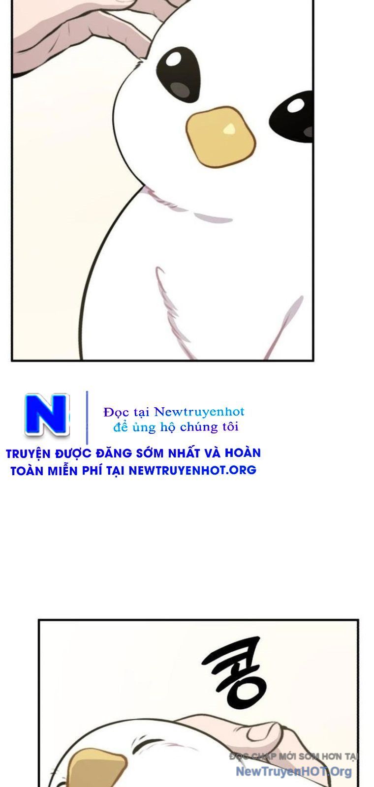 page_31