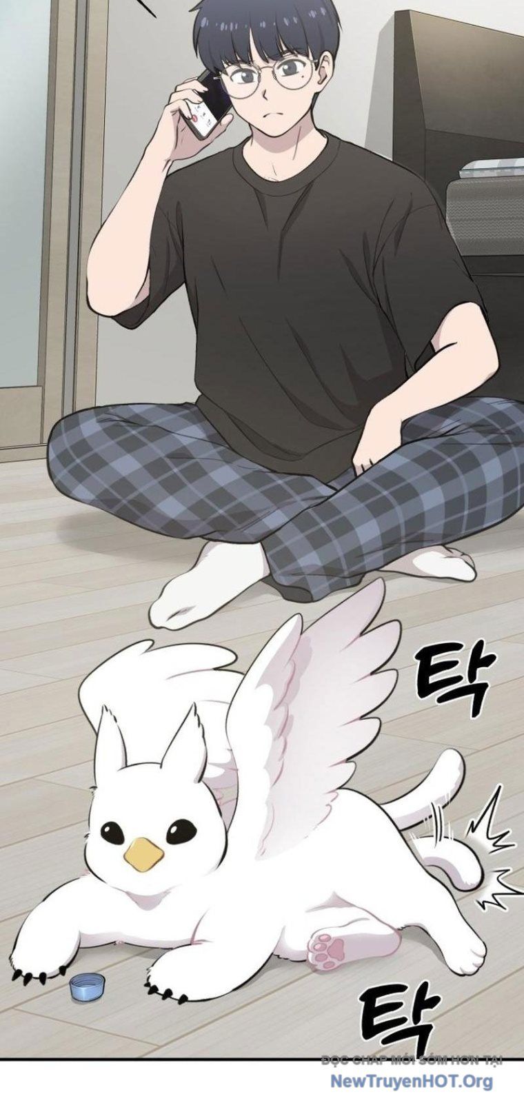 page_66