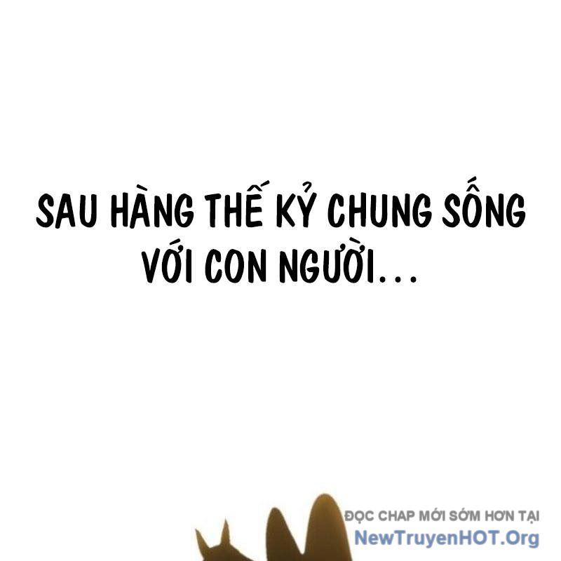 page_43