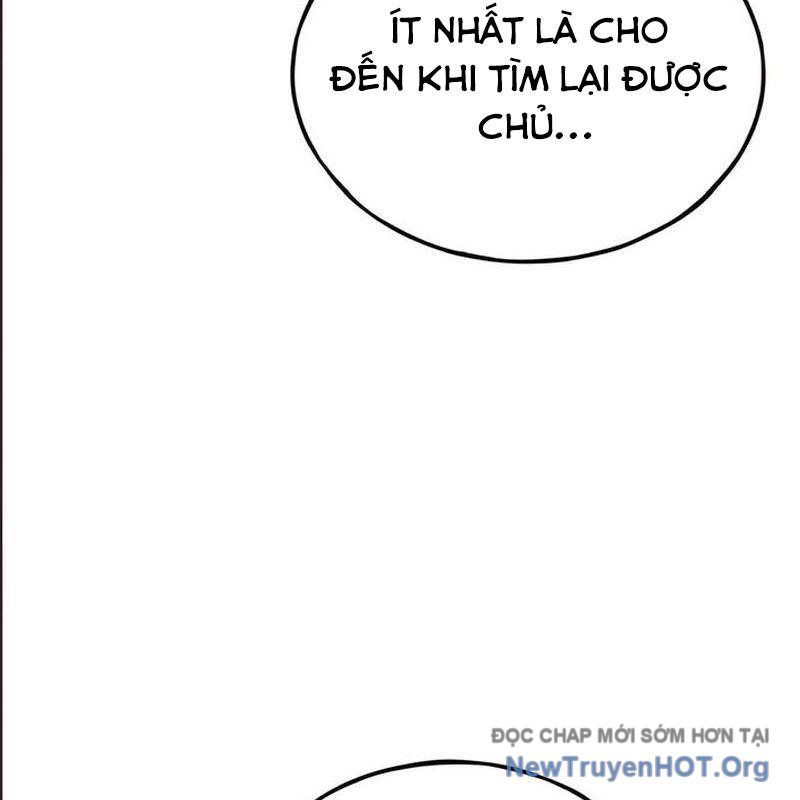 page_29