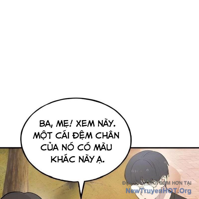 page_43