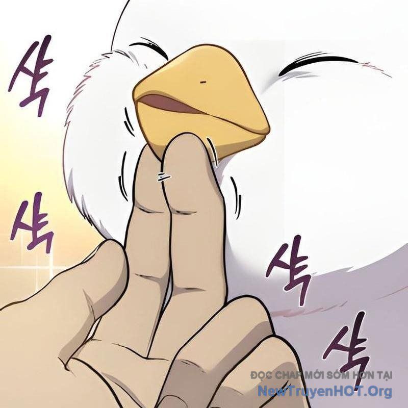 page_73