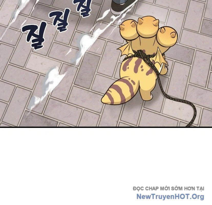page_66