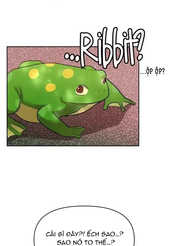 page_61