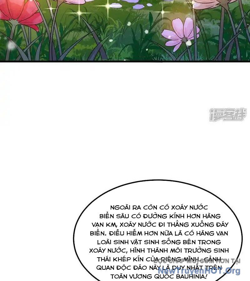 page_5