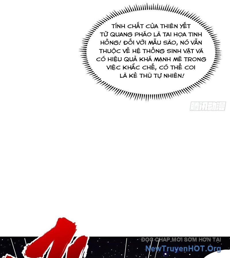 page_42