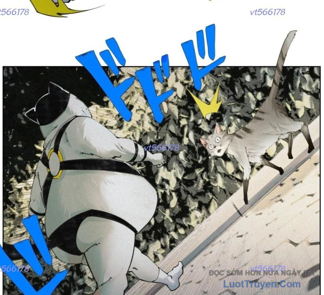 page_55